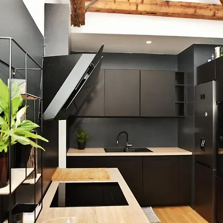 Beautiful In Center Apartment Rijeka